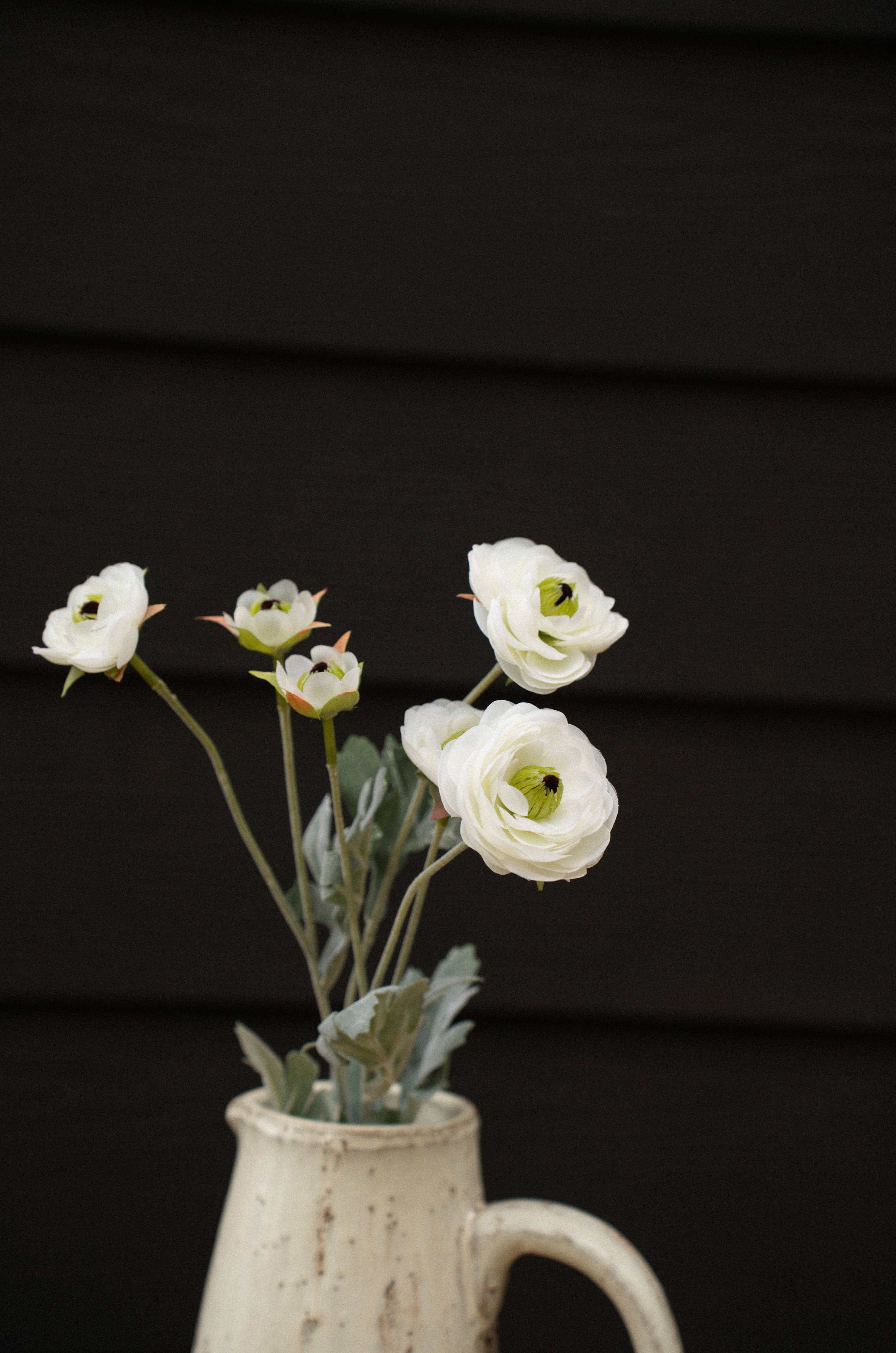 Ranunculus Spray