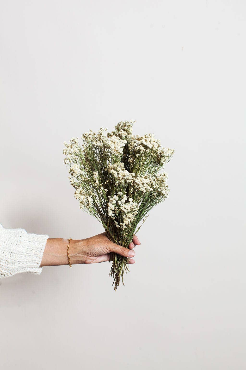 Pearl Achillea