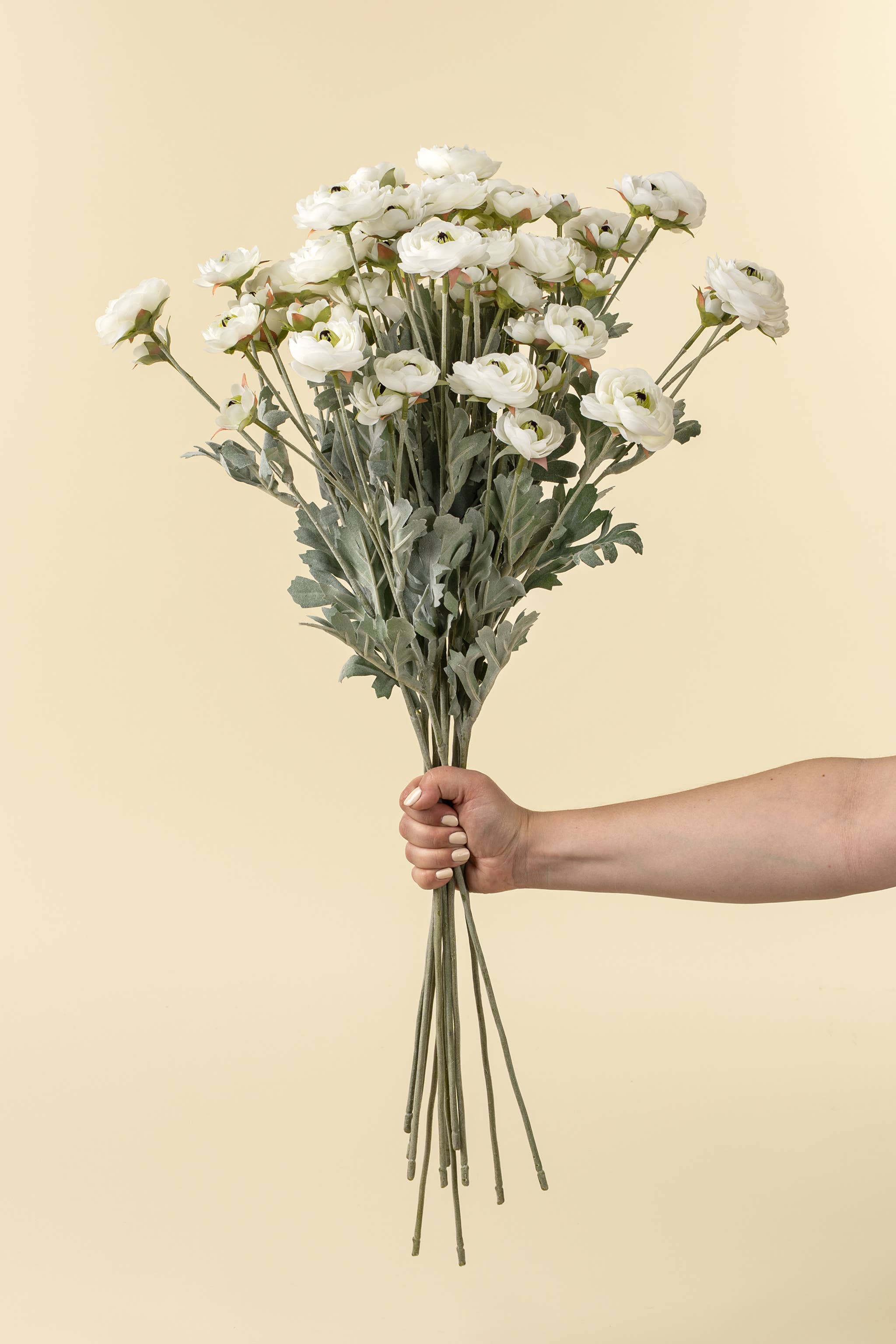 Ranunculus Spray
