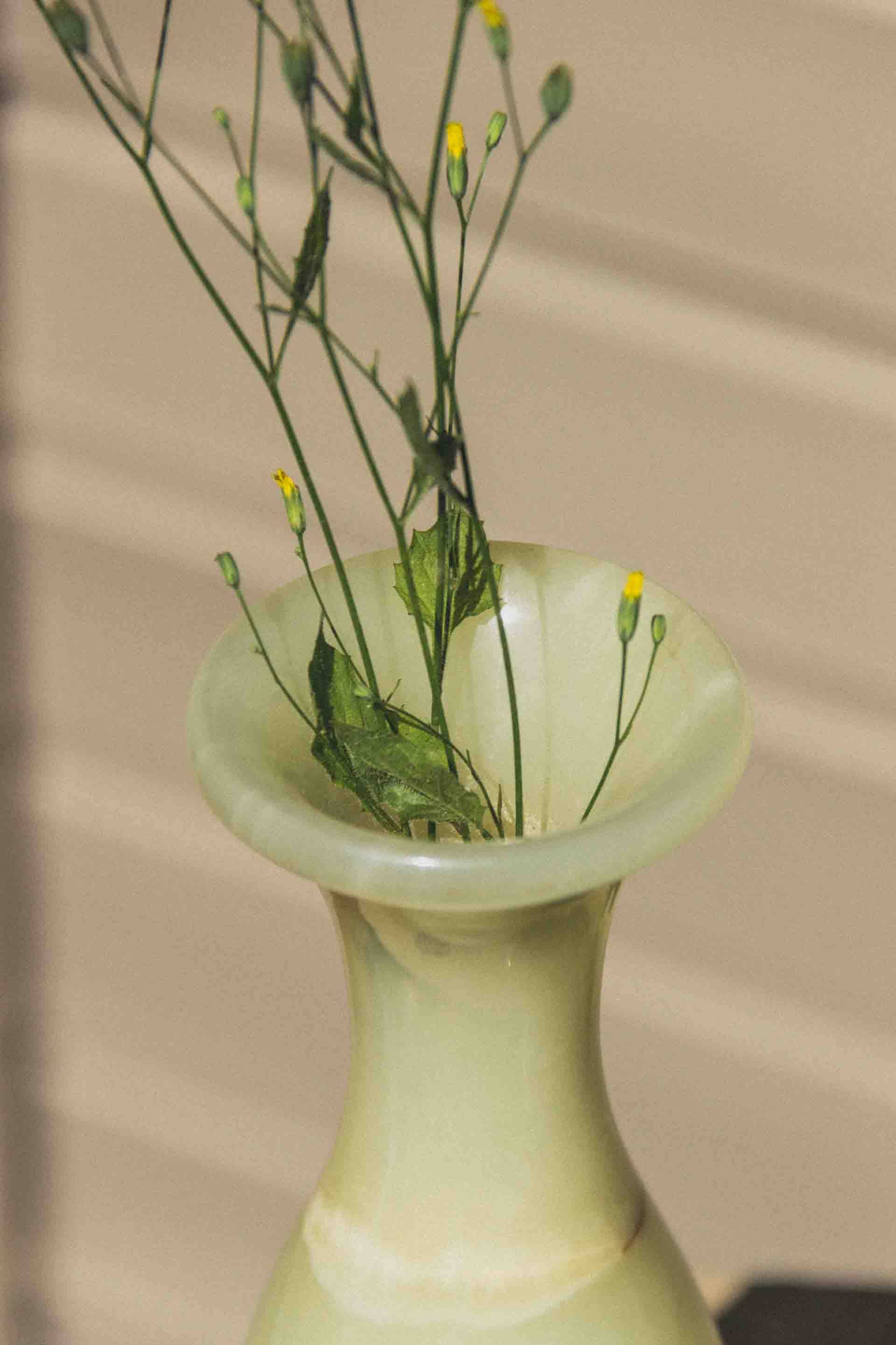 Alabaster Vases