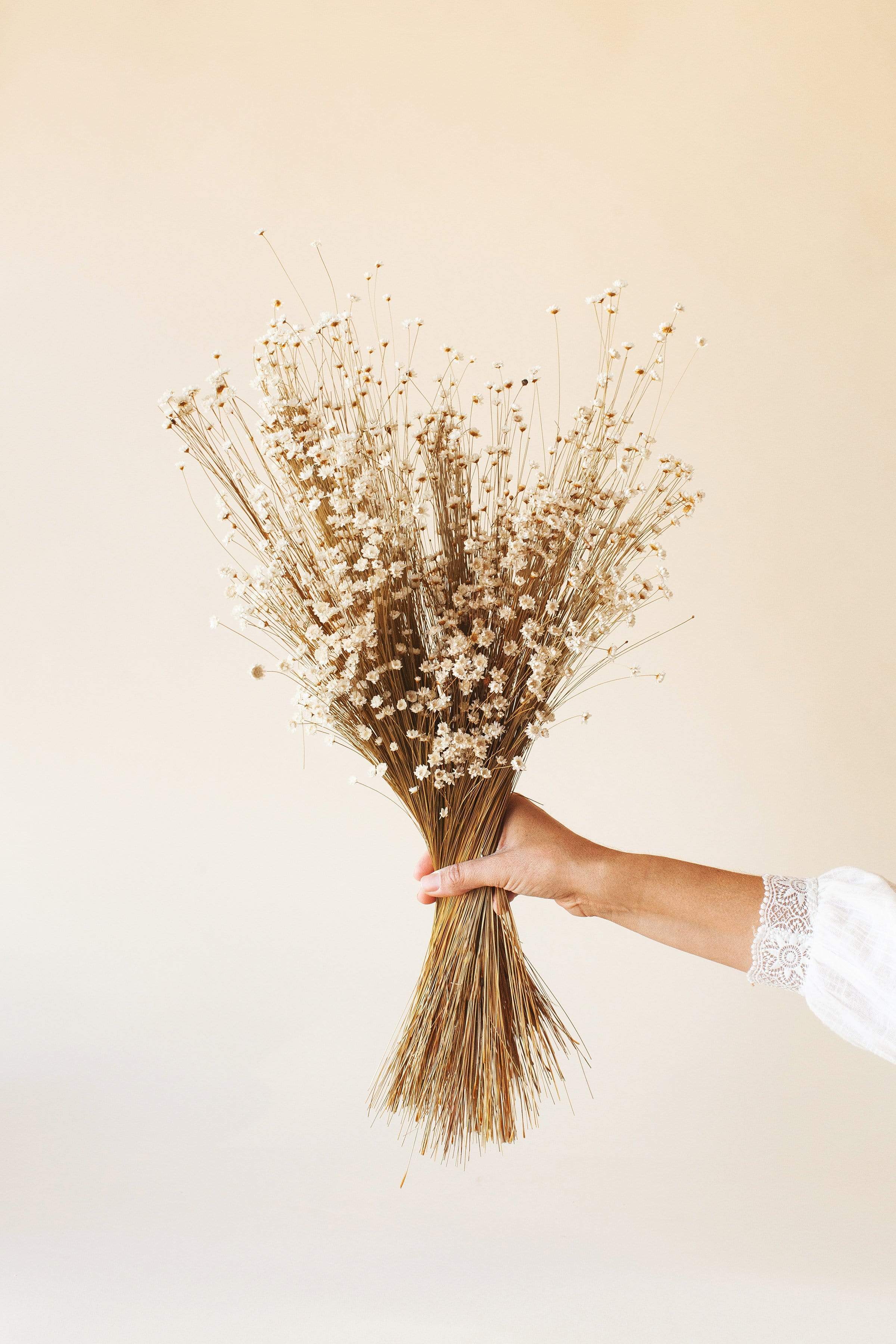 Natural White Star Flower
