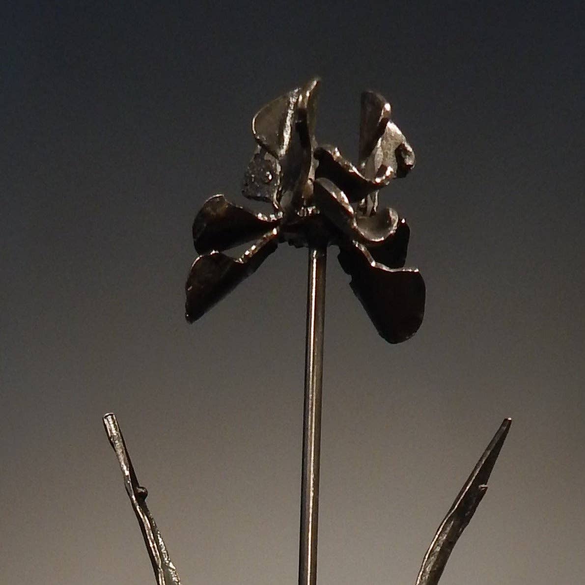 Forged Iron Iris
