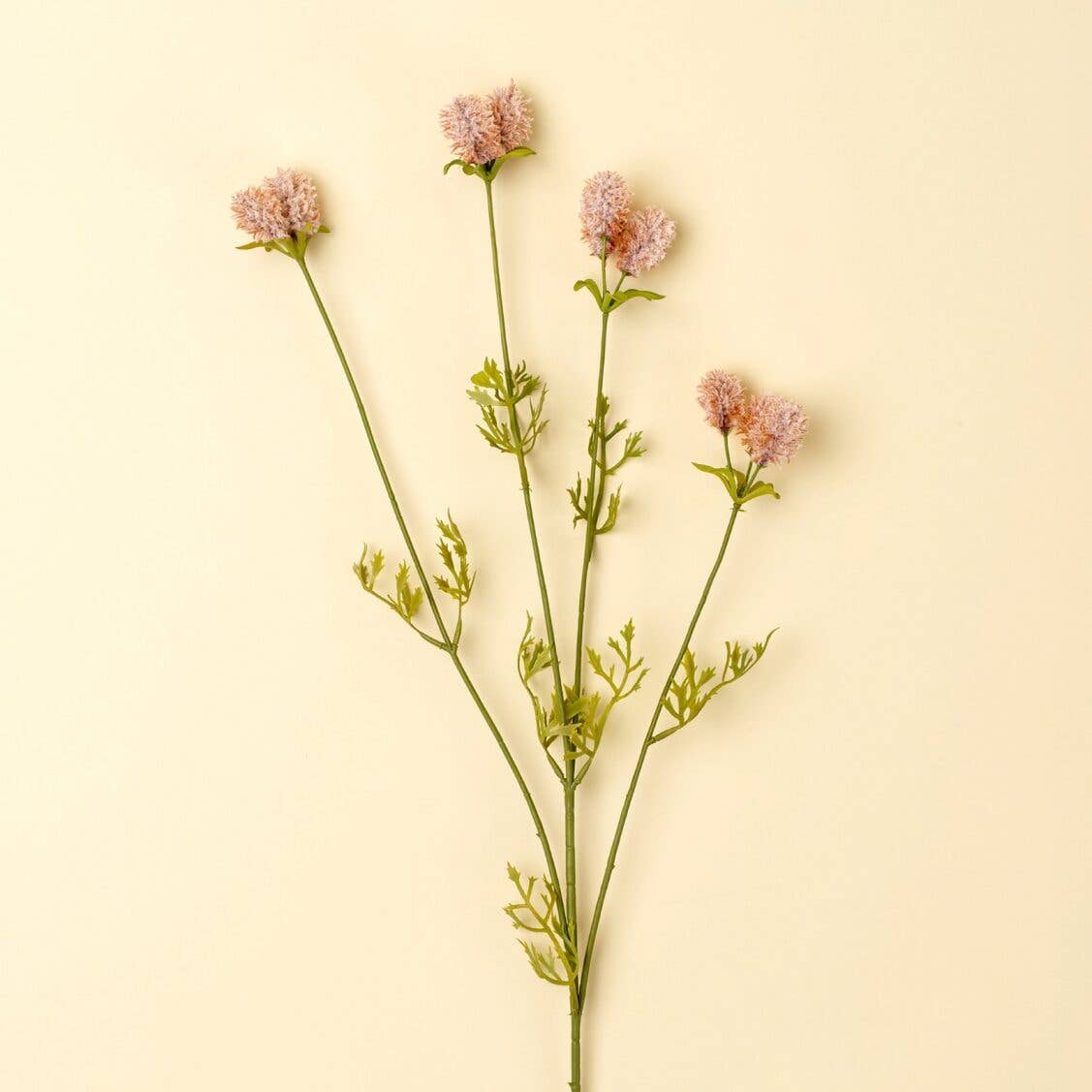 Dandelion Pom Pom Spray