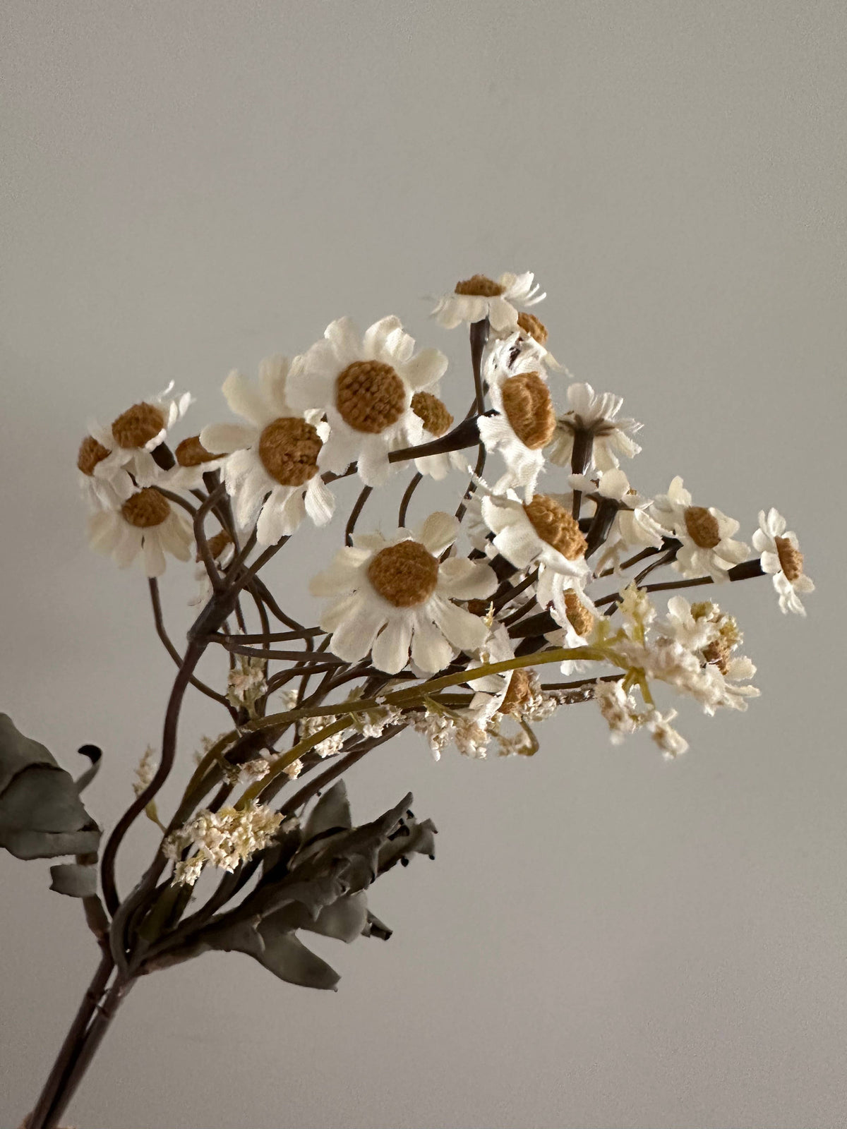 Faux Cream Dried Daisy Stem