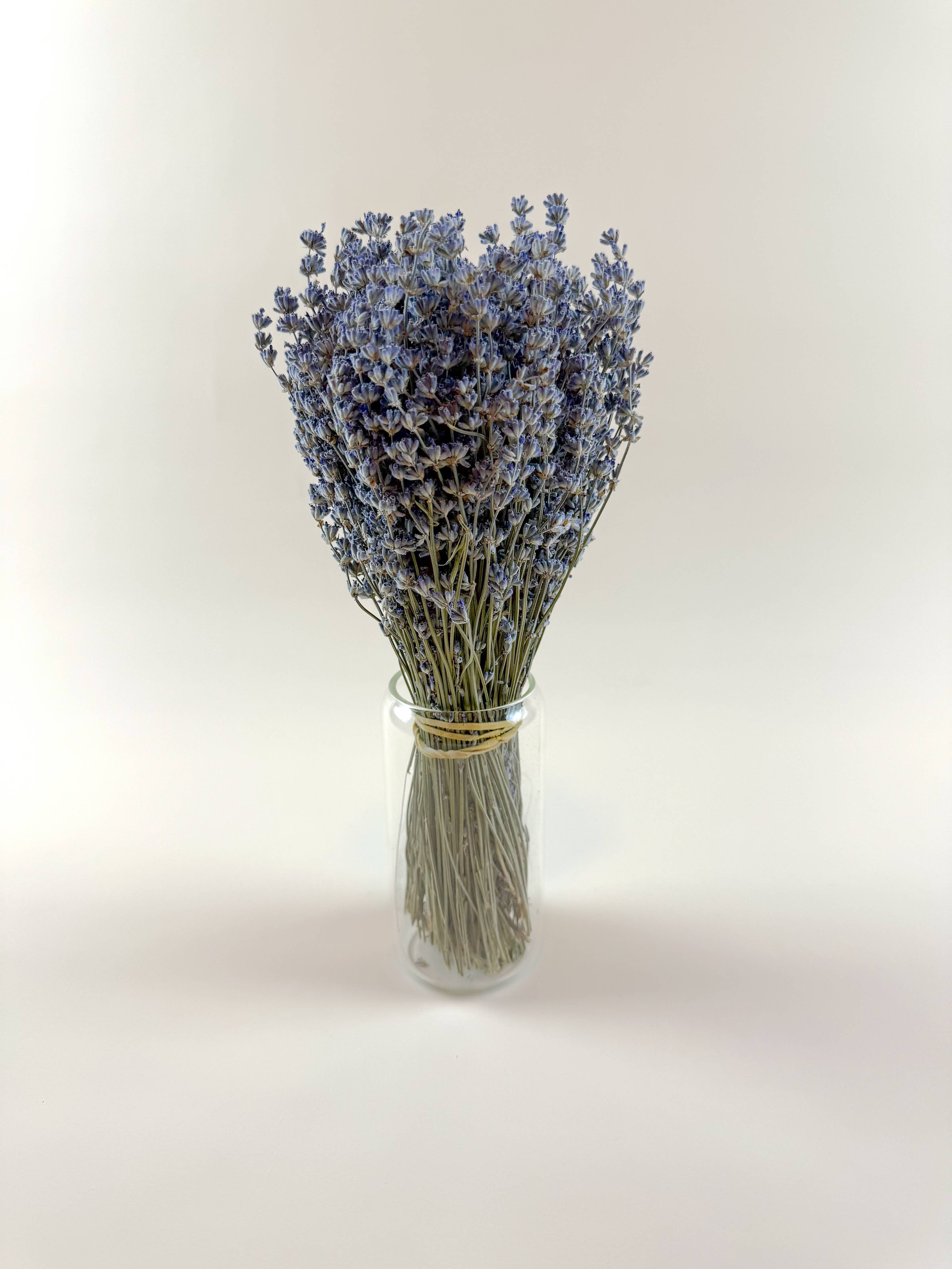 Light Blue Lavender Dried Florals