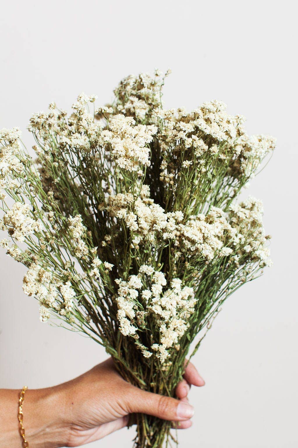 Pearl Achillea
