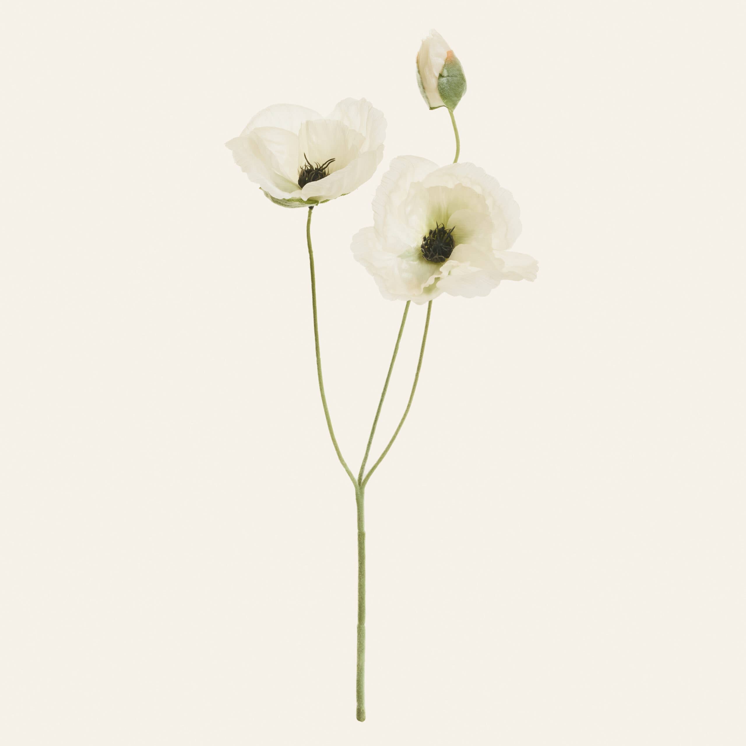 Royal Wedding Poppy Stem