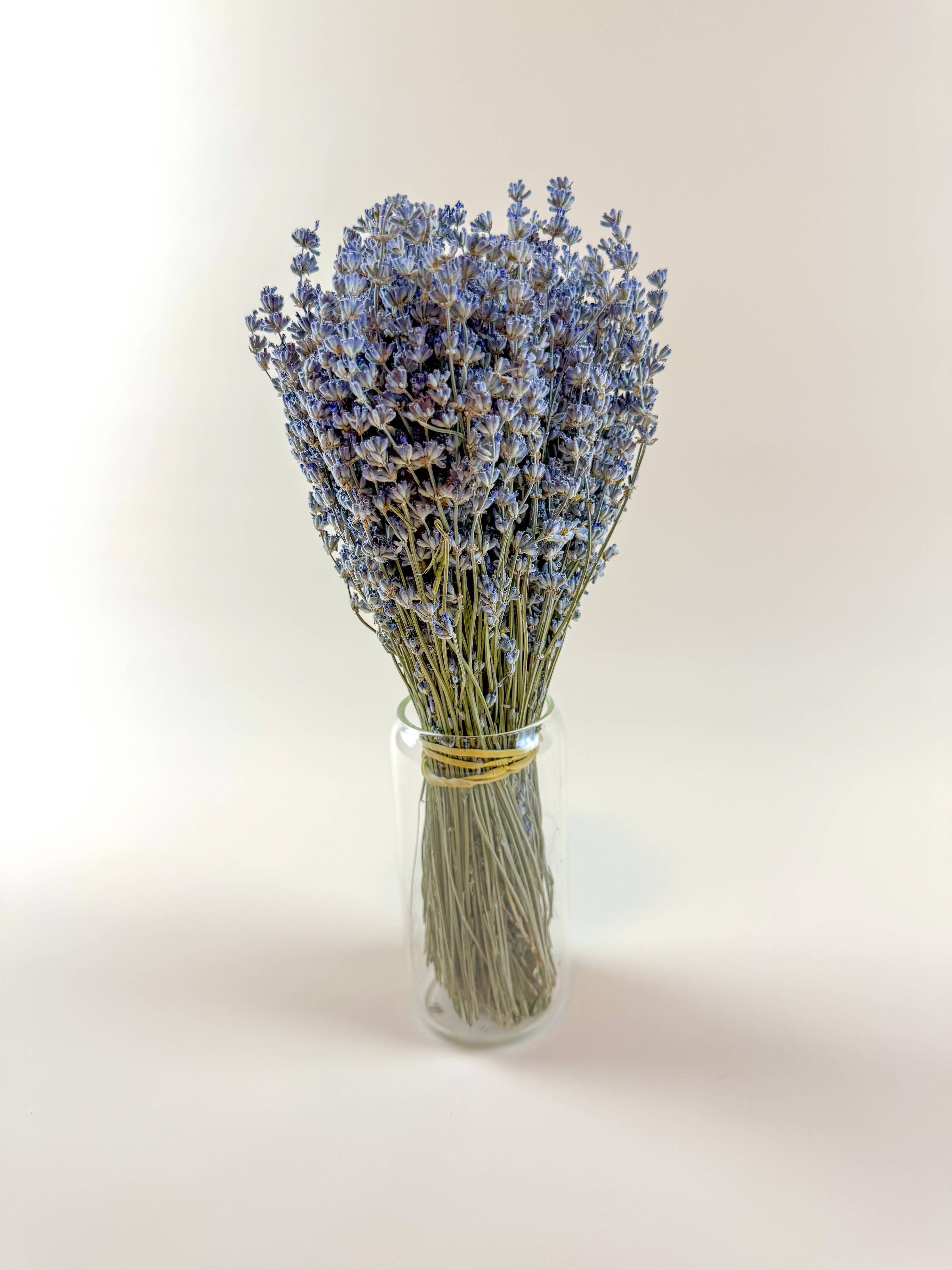 Light Blue Lavender Dried Florals