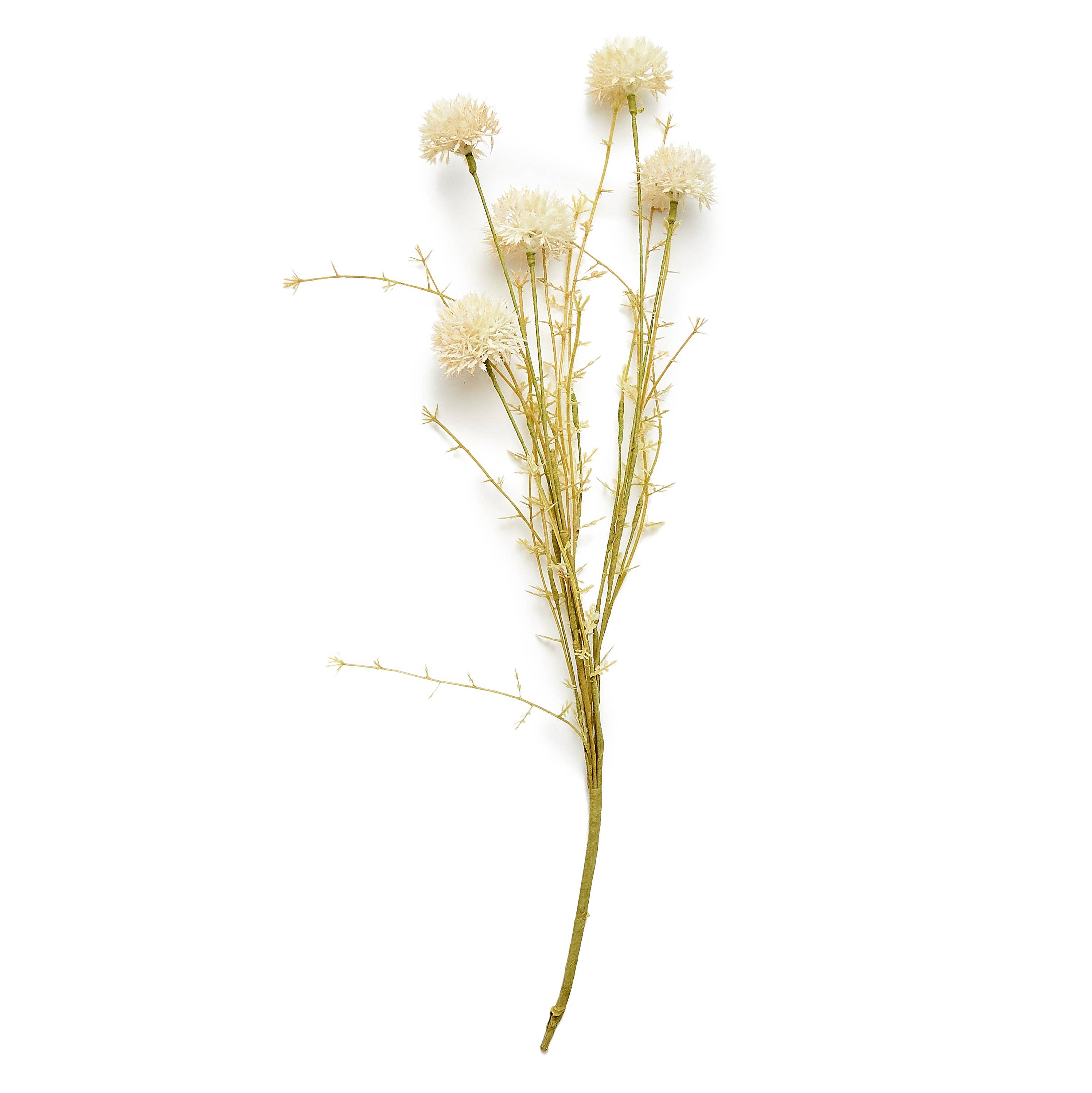 Melaleuca Creme Stem