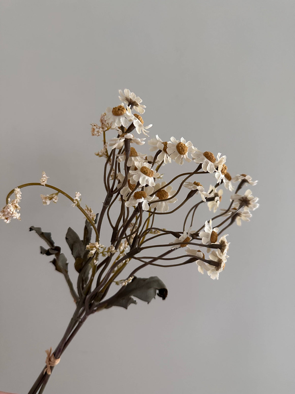 Faux Cream Dried Daisy Stem