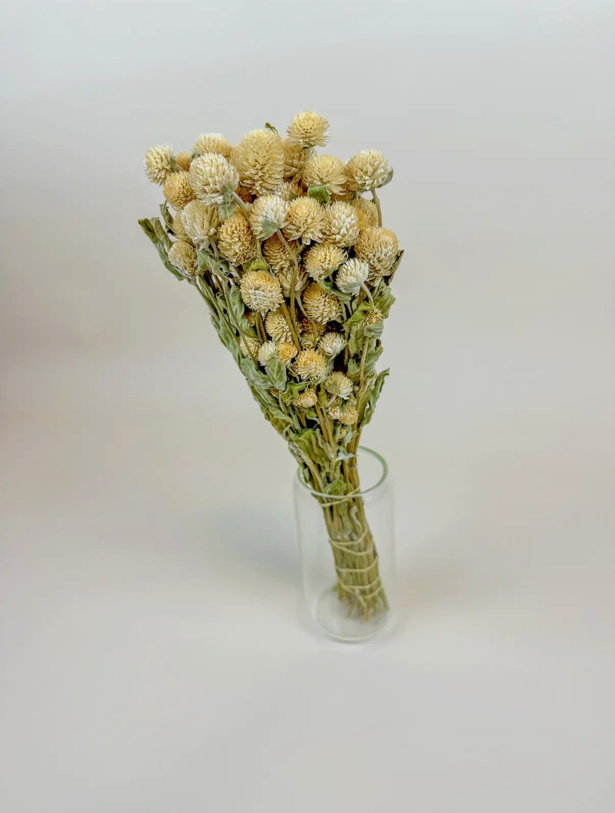 Dried Honey Globe Amaranth