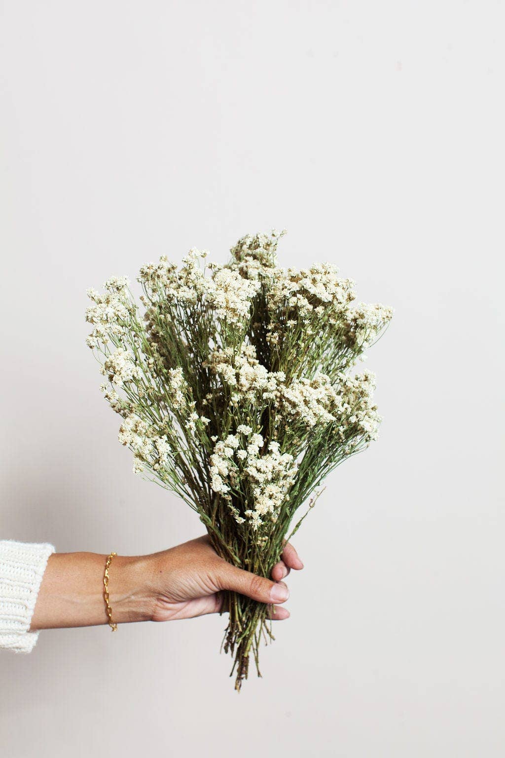 Pearl Achillea