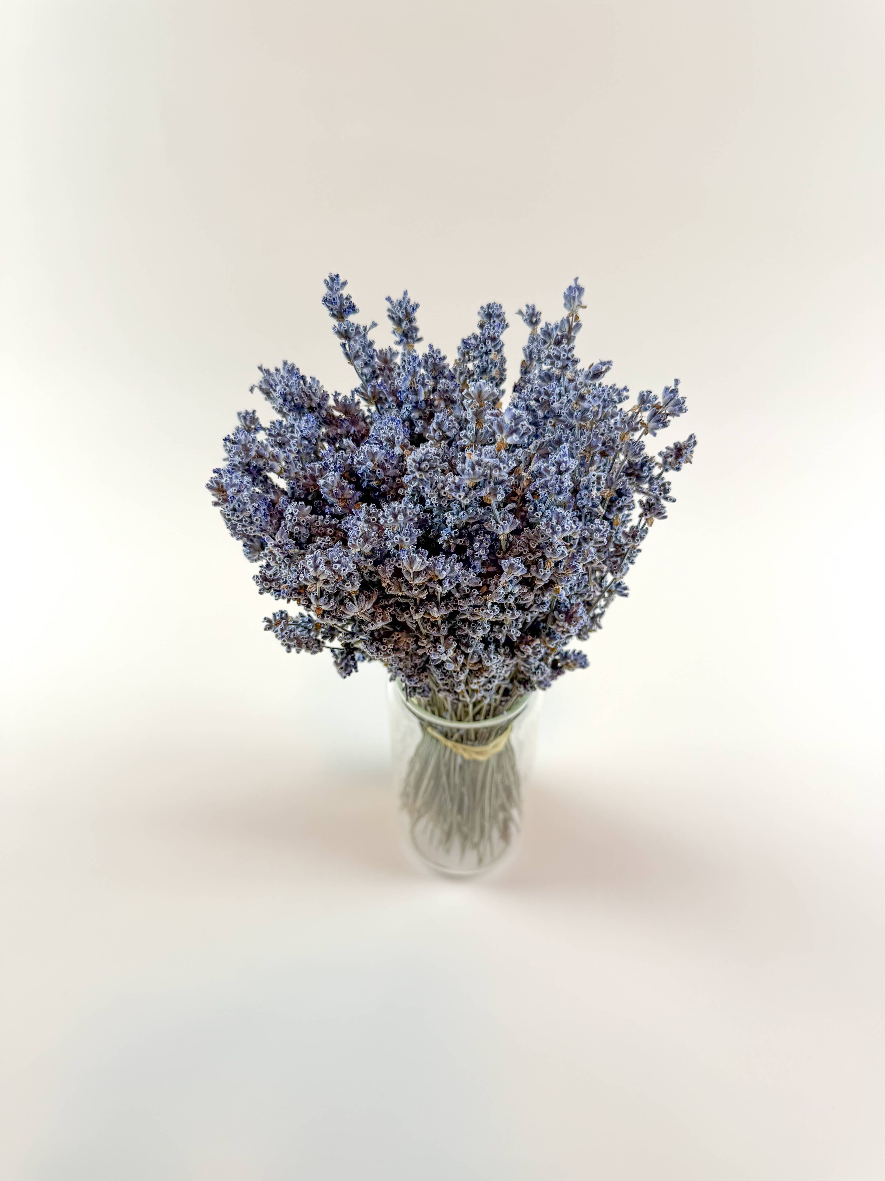 Light Blue Lavender Dried Florals
