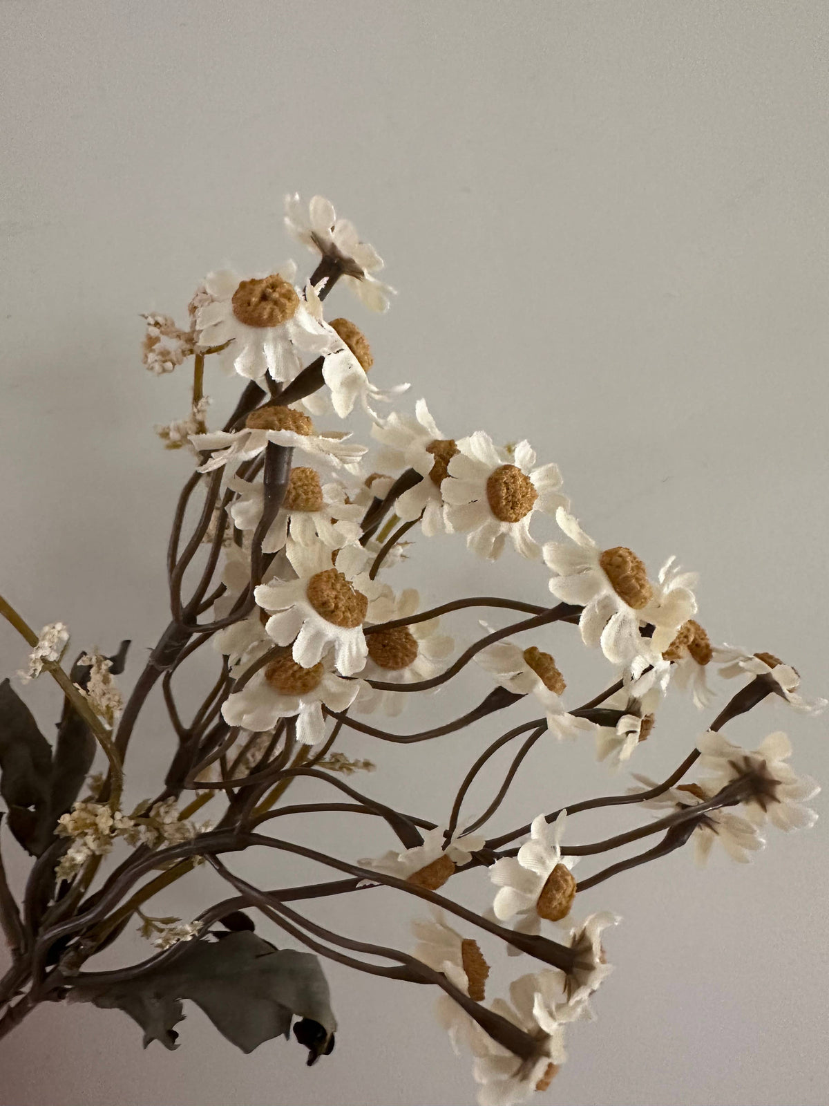 Faux Cream Dried Daisy Stem