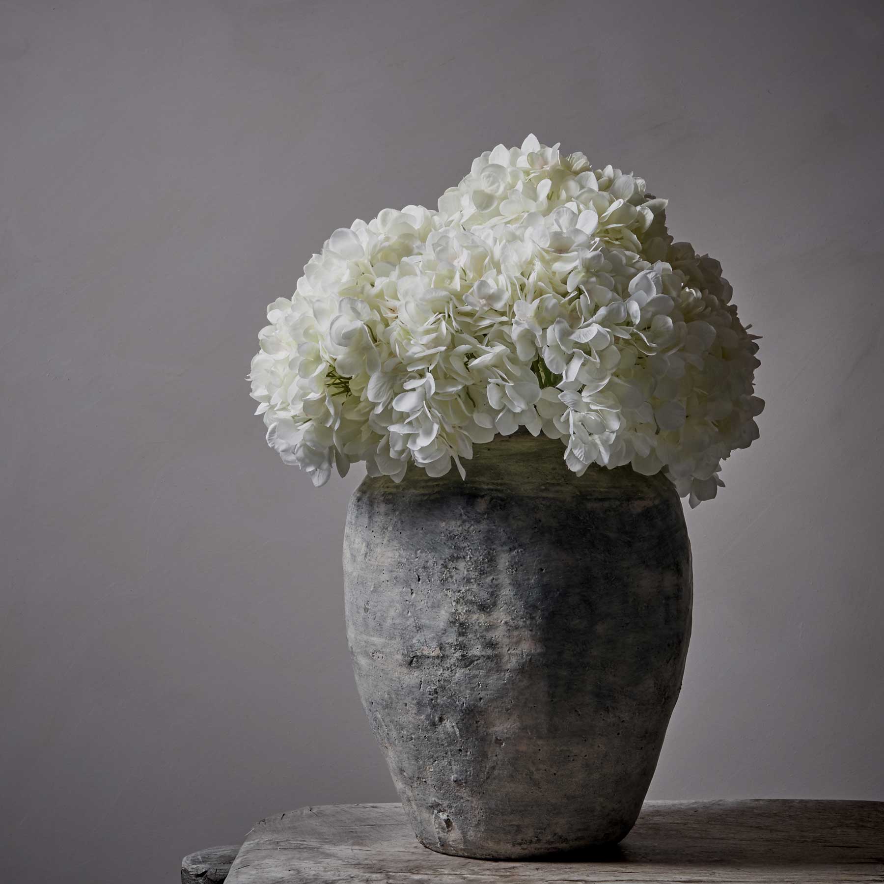 Hydrangea Blanc Stem